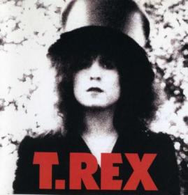 T  REX - Remasters - (6CD)(1994)[MP3@320KBPS]