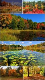 Fall scenery wallpaper (Pack 35)