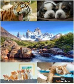 Natur Wallpapers 03