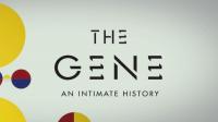 PBS The Gene 2of2 Revolution in the Treatment of Disease 1080p x265 AAC MVGroup Forum