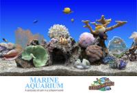 SereneScreen Marine Aquarium v3.3.6381 + Fix