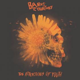 Barns Courtney - The Attractions Of Youth [FLAC] 2017