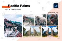 CreativeMarket - Pacific Palms - Lightroom Presets 5239967