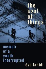 The Soul of Things - Memoir of a Youth Interrupted