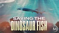 Saving the Dinosaur Fish 1080p x264 AAC