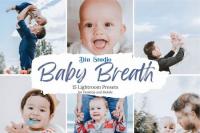 CreativeMarket - Baby Breath Lightroom Presets 5482291