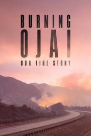 Burning Ojai Our Fire Story (2020) [1080p] [WEBRip] [5.1] [YTS]