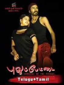 Dhoolpet (Pudhupettai) (2006) HDRip Org [Telugu + Tamil] 750MB ESub