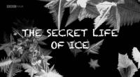 BBC The Secret Life of Ice HDTV x264 AAC