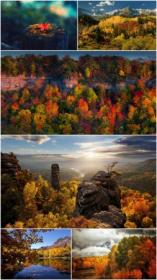 Fall scenery wallpapers (Pack 37)