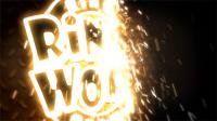 Videohive - Welding Logo Opener in 3D with Sparks 19461634