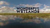 Wonderful Wetlands 1080p HDTV x264 AAC