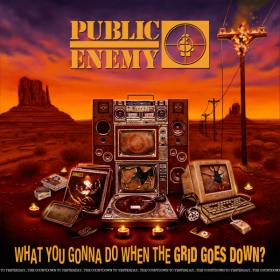 Public Enemy - What You Gonna do When the Grid Goes Down (2020) MP3
