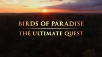 BBC Birds of Paradise The Ultimate Quest 1080p HDTV x265 AAC