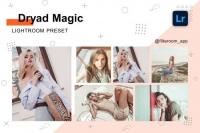 CreativeMarket - Dryad Magic - Lightroom Presets 5236437