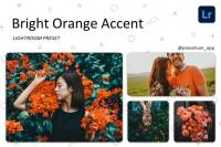 CreativeMarket - Bright Orange - Lightroom Presets 5219795