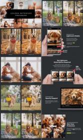 20 Golden Retriever Lightroom Presets & LUTs