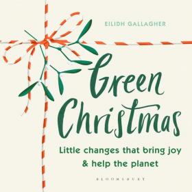 Green Christmas - Little changes that bring joy and help the planet