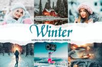 Winter - 15 Premium Lightroom Presets