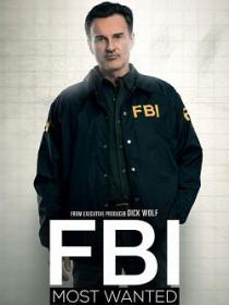 FBI Most Wanted S01E09 FRENCH LD AMZN WEB-DL Xvid-EXTREME