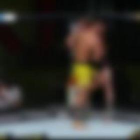 UFC Fight Night Felder vs Dos Anjos 720p HDTV x264-VERUM[TGx]
