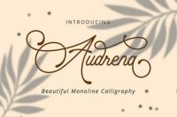 Audrena - Beautiful Monoline Font