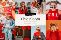 CreativeMarket - Chic Bloom - 4 Lightroom Presets Set 5347851