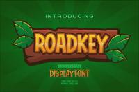 Roadkey Kids Font