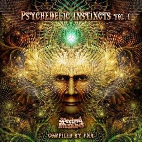 [SICD005] VA - Psychedelic Instincts Vol  1 (2020) FLAC