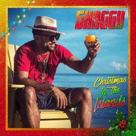 Shaggy - Christmas in the Islands (2020) MP3