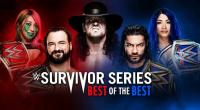 WWE Survivor Series 2020 PPV WEB h264-HEEL