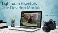 Lightroom Essentials The Develop Module