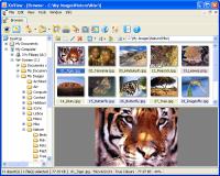 XnView v1.98.4 Complete version (Keygen-FFF)