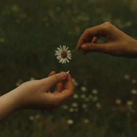 (2020) Goldmund - The Time It Takes [FLAC]