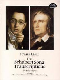 The Schubert Song Transcriptions for Solo Piano - Series II - The Complete Winterreise and Seven Other Great Songs