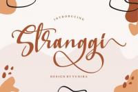 Stranggi  A Stylish Handwritten Font