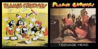 Flamin Groovies -  Supersnazz (1969) and Teenage Head (1971) mp3@256 and 320 -kawli