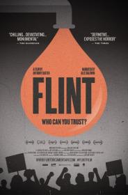 BBC Flint Who Can You Trust 1080p HDTV x265 AAC