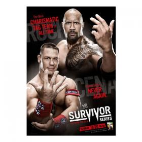 WWE Survivor Series 2011 HDTV x264-RUDOS
