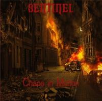 2019 - Sentinel  - Chaos in Motion