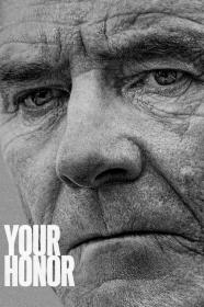 Your Honor US S01E02 WEBRip x264-ION10