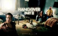 The Hangover Part 2 (2011)DVD9 Rental Pal  (Multi Subs} TBS