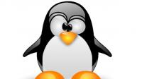 Linux Server Administration Made Easy with Hands-on Training