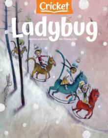 Ladybug - January 2021