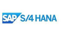 Udemy - SAP S - 4 HANA - Master Data Simplifications