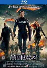 Captain America The Winter Soldier 2014 BluRay 1080p DTS 2Audio x264