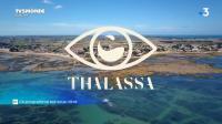 TV5Monde Thalassa 2020 De Noirmoutier a Oleron 720p x265 AAC