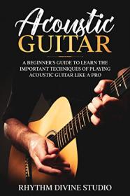 Acoustic Guitar - A Beginner's Guide to Learn The Important Techniques of Playing Acoustic Guitar Like A Pro