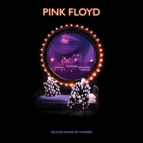 Pink Floyd - Delicate Sound Of Thunder (2019 Remix) [Live] UHD (2020 - Pop rock) [Flac 24-96]