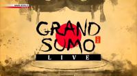 NHK Grand Sumo Live January 2021 720p HDTV x265 AAC MVGroup Forum